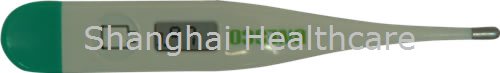 Digital thermometer